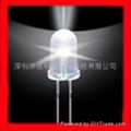 LED LAMPS 2