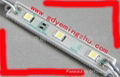 LED 广告模组SMD5050 1