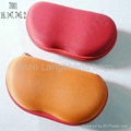 glasses case