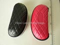 eva glasses case