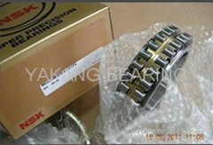 NSK NN3020 Cylindrical Roller Bearing