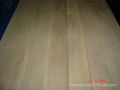 white birch veneer