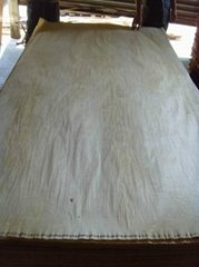 chinese birch veneer rotary cut