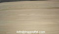 ELM VENEER