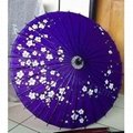 Chinese oil paper umbrella