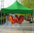 folding tent 1