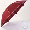 LED light umbrella 