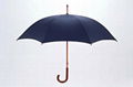 stright umbrella 1