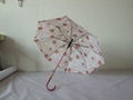 stright umbrella 4