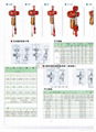 批发东莞永升牌电动葫芦 3