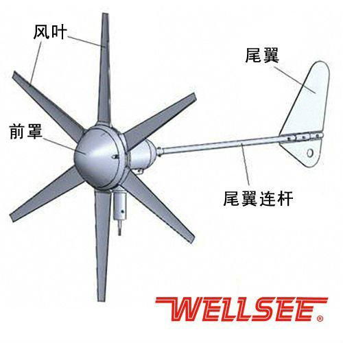 Wellsee horizontal Wind Generator permanent magnet generator 300w    