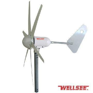 Wellsee horizontal Wind Generator permanent magnet generator 300w     2