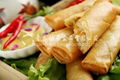 15g Vegetable Spring Roll 4