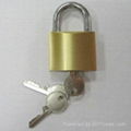 Brass padlocks,padlocks,combination padlocks 1