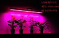 led植物生长灯 2