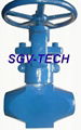 globe valve flange ends cast valve