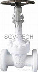 Cryogenic low temperature valve