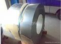 Stainless steel coil