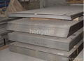 Stainless steel hot-rolled plate  1