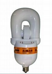 23-60WTorch Series (Integrated Type) induction lamp