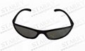 Plastic Linear Polarized 3D Glasses (STBL012PL)  1