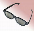 Plastic Linear Polarized 3D Glasses