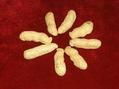 Chinese peanut in shell 