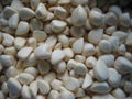 Frozen garlic clove 1