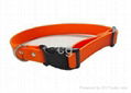 hunting dog collar 1