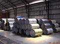 2nd PRE-PAINTED GALVANIZED STEEL COIL 1