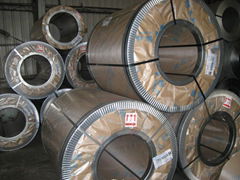 Hot-Dipped Galvanized Steel Sheet /