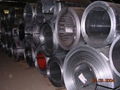 GALVANIZED STEEL COIL 1