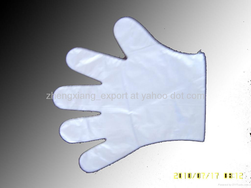 Exporting PE glove