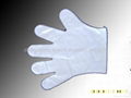 Exporting PE glove 1