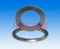 Spiral Wound Gasket