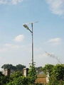 Solar Street Light 1