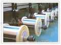 Stainless Steel Wire (xrl)