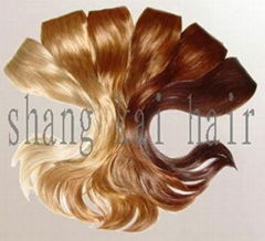 Human Hair Extensions