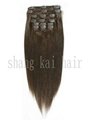 Clip In Hair with Chinese and Indian Human Hair  5