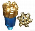 PDC bit 1