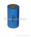 ER34615 3.6V 19Ah LiSOCl2 battery