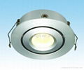 3W LED Down Light