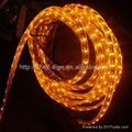 3528 SMD Flexible LED Strip 5