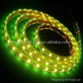 5050 SMD Flexible LED Strip 1