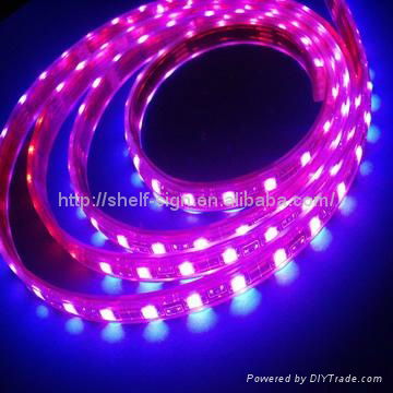 5050 SMD Flexible LED Strip 3