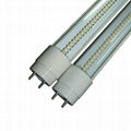 T8 LED tube light