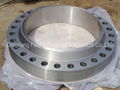 welding neck flange 1