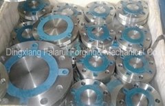 stainless steel flange A182F304L