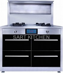 attached disinfection cabinet and range hoods cooker