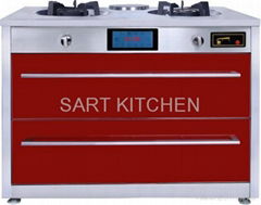 attached disinfection cabinet and induction cooker stove